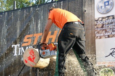 Tronçonneuse de série